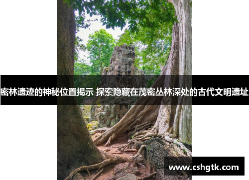 密林遗迹的神秘位置揭示 探索隐藏在茂密丛林深处的古代文明遗址 密林遗迹的神秘位置揭示 探索隐藏在茂密丛林深处的古代文明遗址